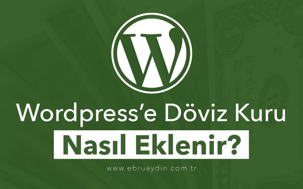 wordpress-doviz-kuru-eklentisi2