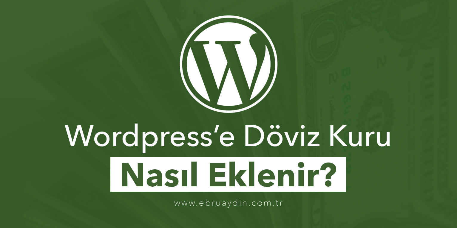 wordpress-doviz-kuru-eklentisi2